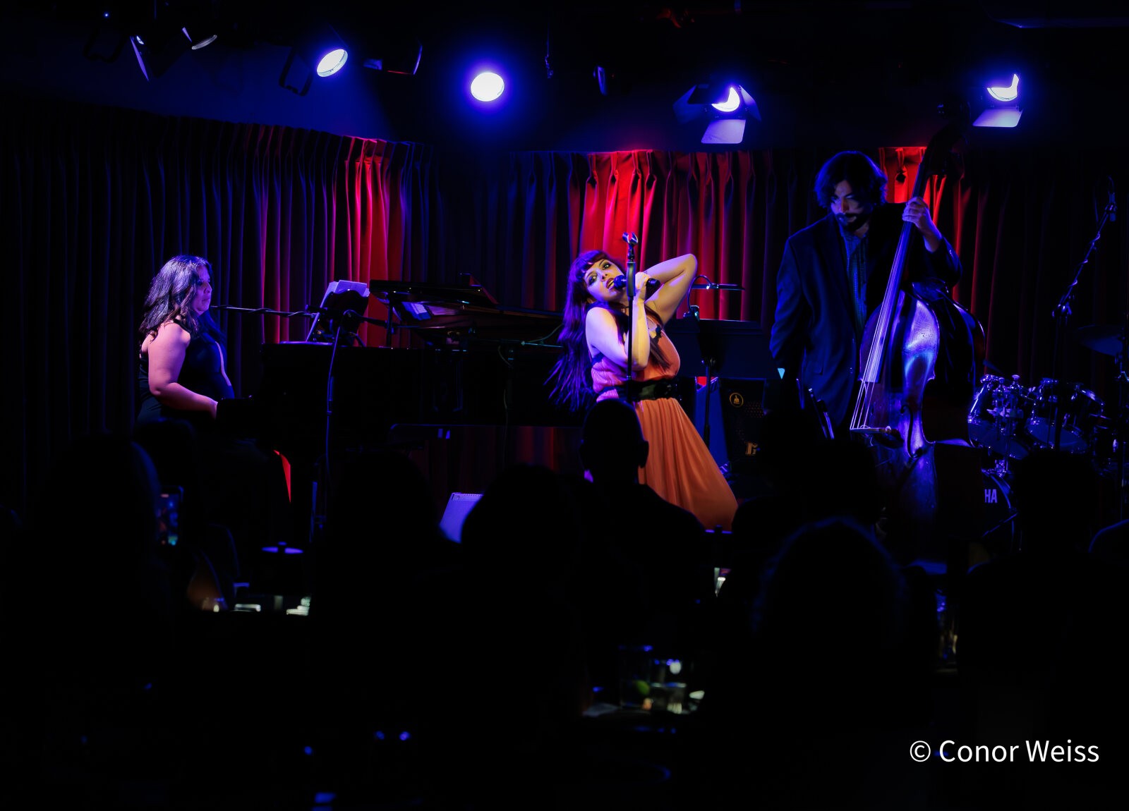 Photos: The Lineup with Susie Mosher - September 8, 2026 at the Green Room 42 — photo 14 of 25