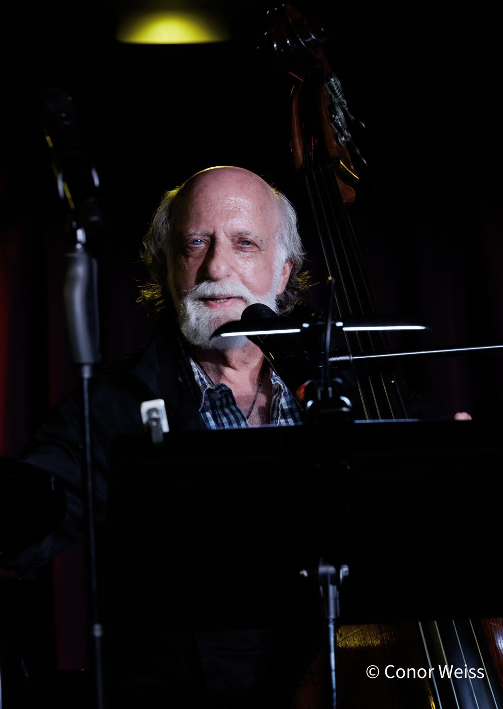 Photos: The Lineup with Susie Mosher - September 8, 2026 at the Green Room 42 — photo 15 of 25