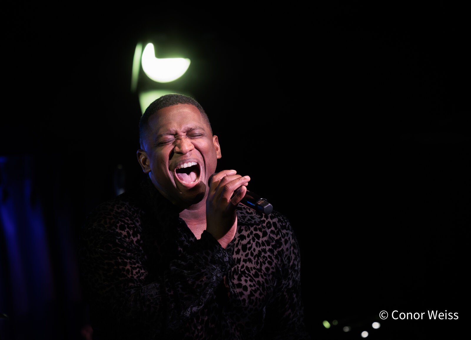 Photos: The Lineup with Susie Mosher - September 8, 2026 at the Green Room 42 — photo 25 of 25