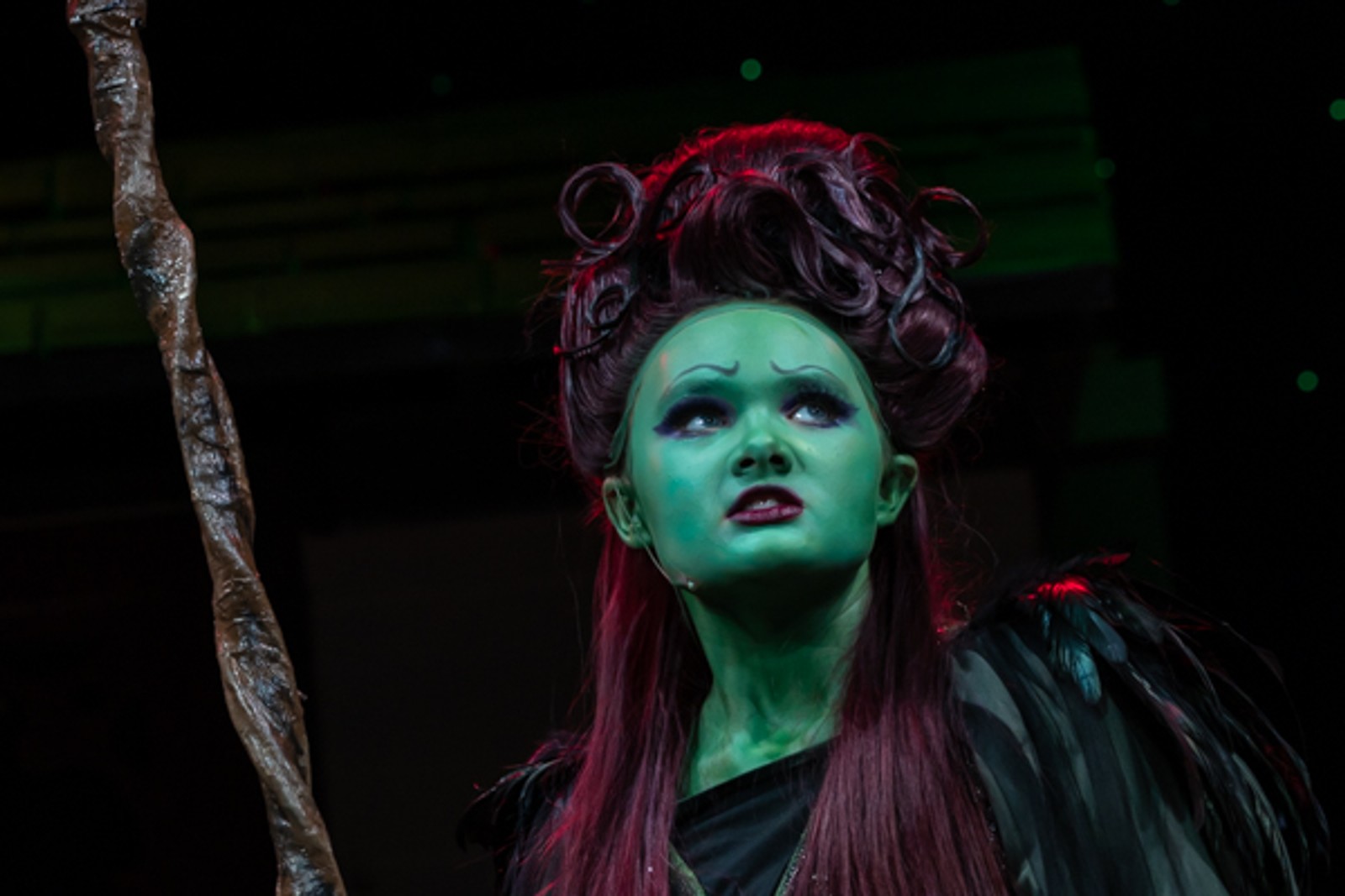 Photos: First look at MTVarts green cast of THE WIZARD OF OZ — photo 12 of 37