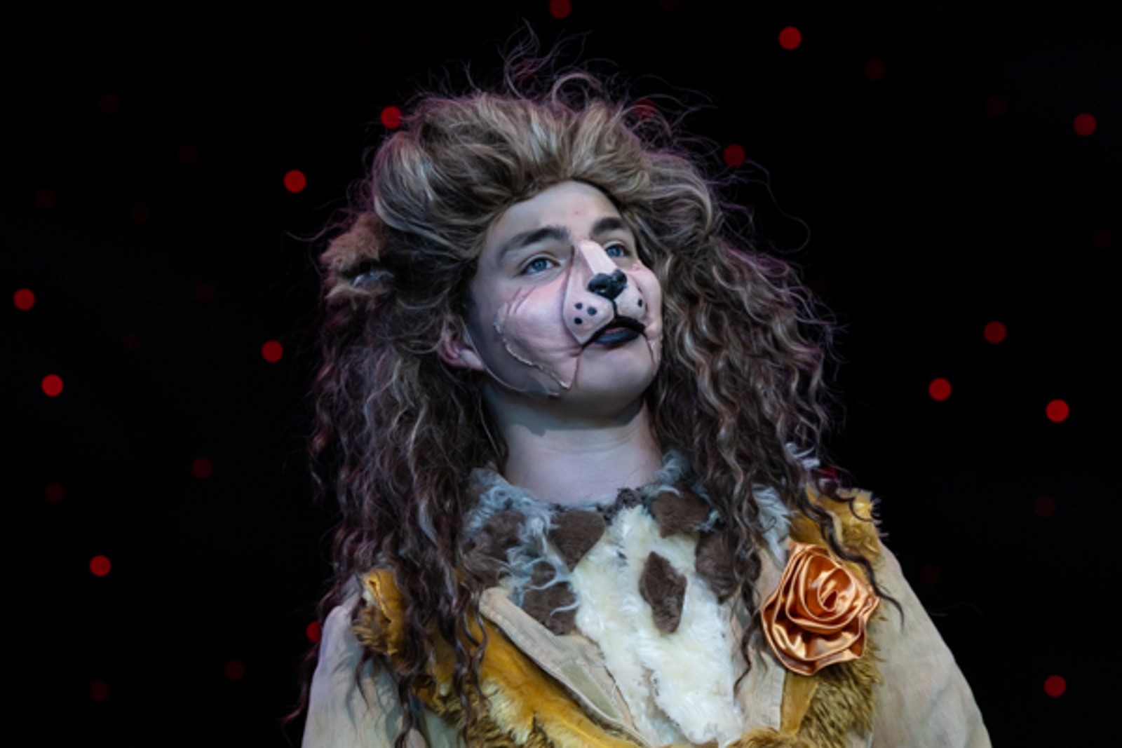 Photos: First look at MTVarts green cast of THE WIZARD OF OZ — photo 19 of 37