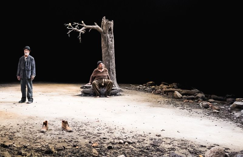 Review: WAITING FOR GODOT at Guthrie Theater Image