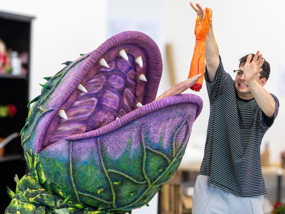 Photos: LITTLE SHOP OF HORRORS in Rehearsal Ahead of Run at Hope Mill Theatre — photo 3 of 10