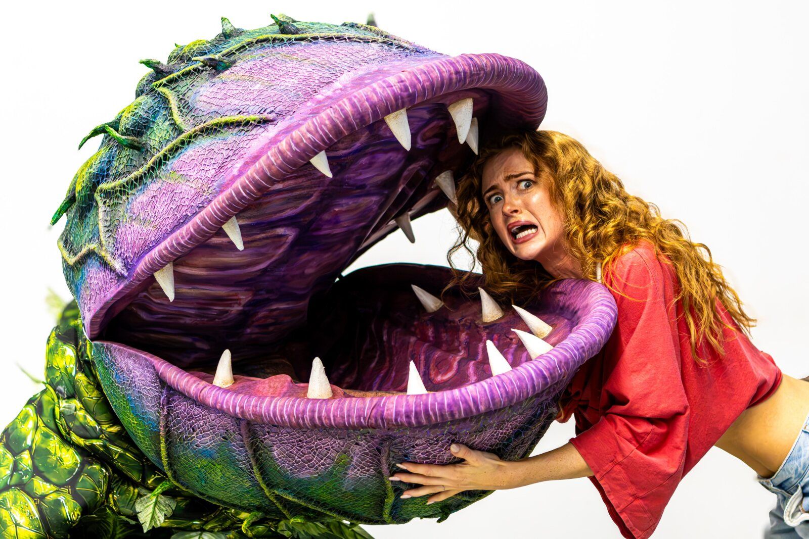 Photos: LITTLE SHOP OF HORRORS in Rehearsal Ahead of Run at Hope Mill Theatre — photo 8 of 10