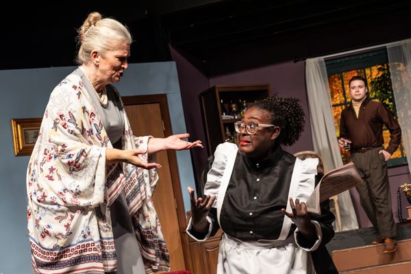 Photos: First look at Little Theatre Off Broadway’s A MURDER IS ANNOUNCED — photo 8 of 28