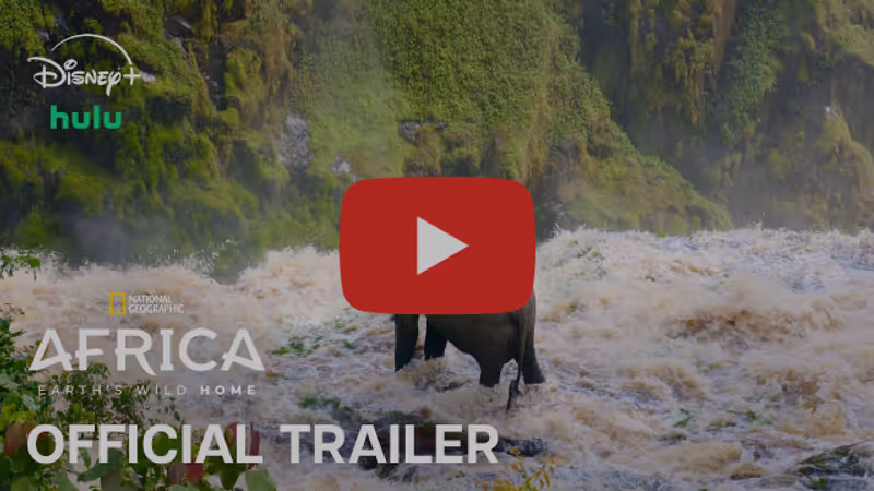 Photos: AFRICA EARTH'S WILD HOME to Premiere on National Geographic — photo 2 of 4