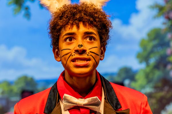 Photos: First look at New Vision Performing Arts ALICE IN WONDERLAND, JR — photo 8 of 26