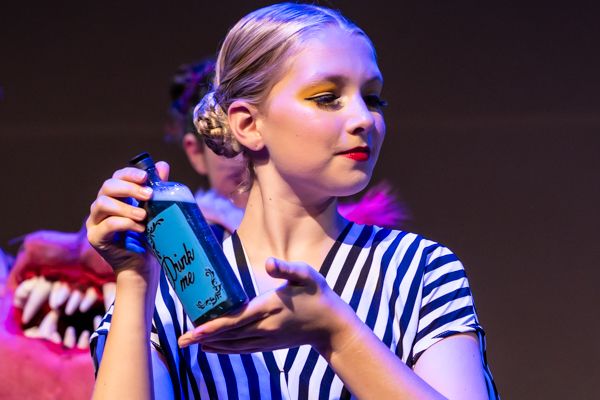 Photos: First look at New Vision Performing Arts ALICE IN WONDERLAND, JR — photo 12 of 26