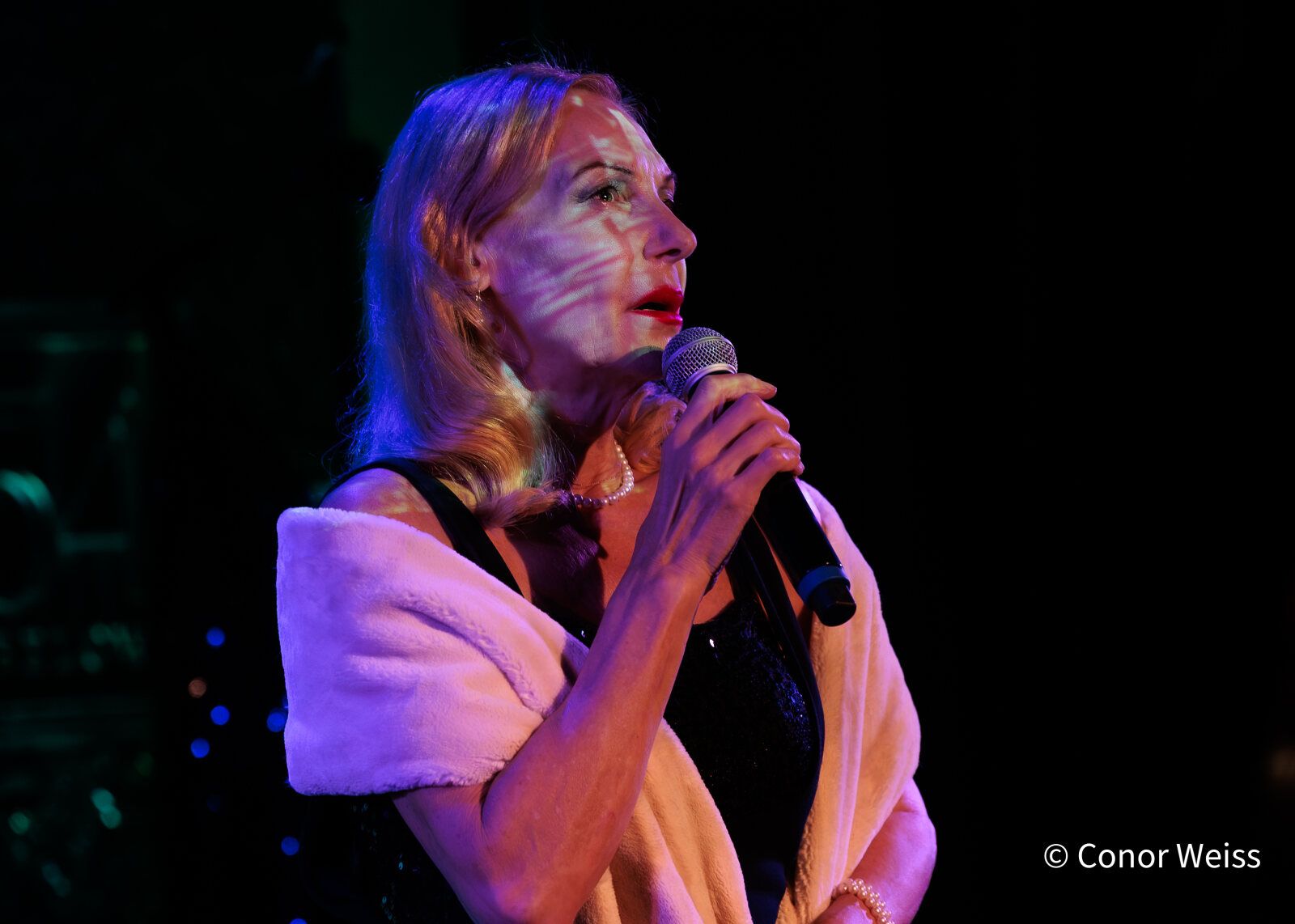 Photos: Ute Lemper Celebrates Marlene Dietrich’s 125th Birthday at 54 Below — photo 13 of 22