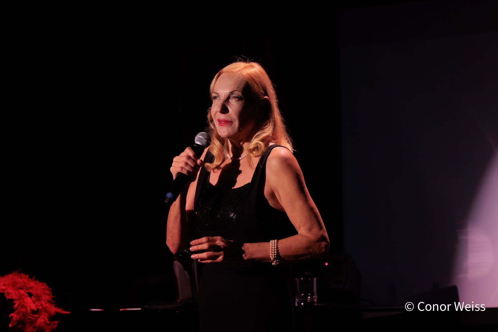Photos: Ute Lemper Celebrates Marlene Dietrich’s 125th Birthday at 54 Below — photo 20 of 22
