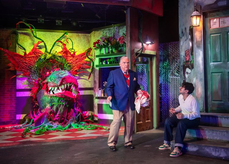 Review: LITTLE SHOP OF HORRORS at New Conservatory Theatre Center Image