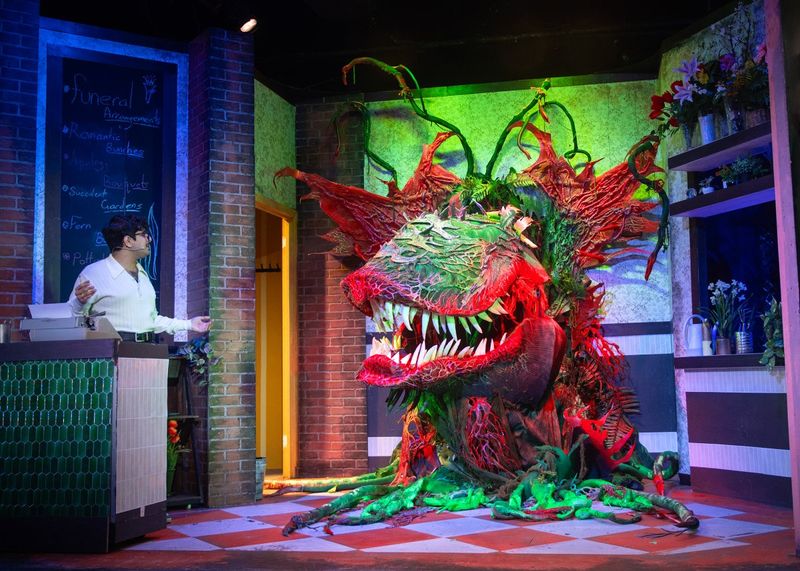 Review: LITTLE SHOP OF HORRORS at New Conservatory Theatre Center Image