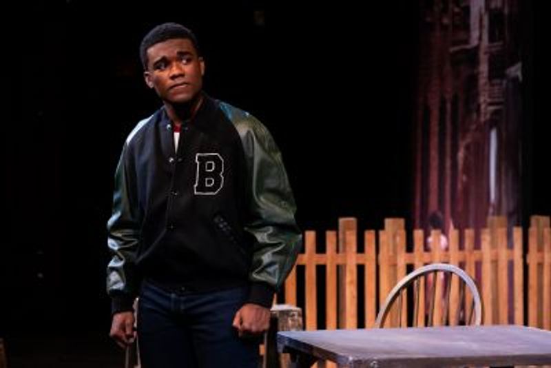 Review: AUGUST WILSON'S FENCES at Theatrical Outfit Image