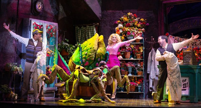 Review: LITTLE SHOP OF HORRORS Delights at La Mirada Theatre Image
