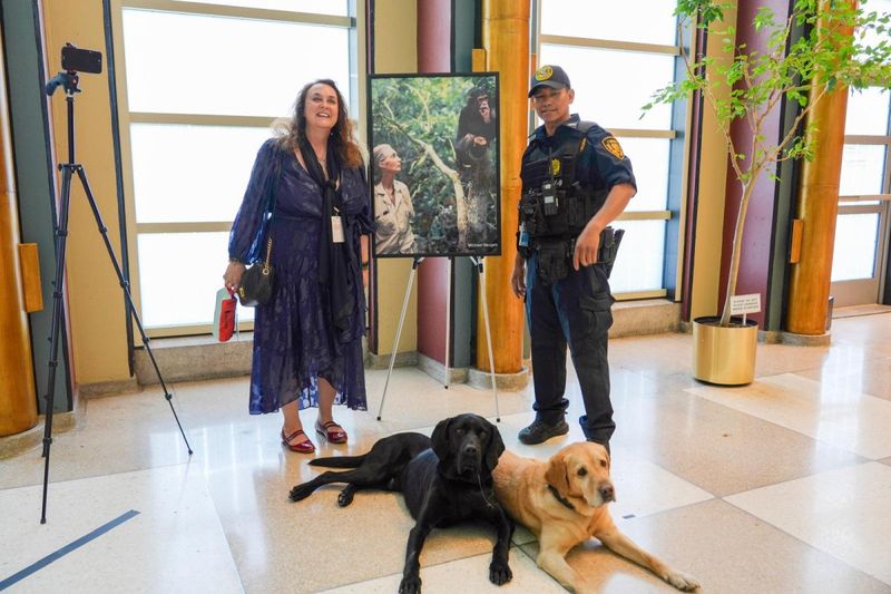 ALESSANDRA MATTANZA and ANALIA FARFAN BRING ART, DANCE and ANIMAL ADVOCACY to the UNITED NATIONS Image