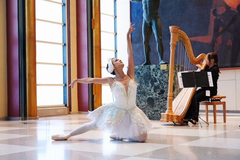 ALESSANDRA MATTANZA and ANALIA FARFAN BRING ART, DANCE and ANIMAL ADVOCACY to the UNITED NATIONS Image
