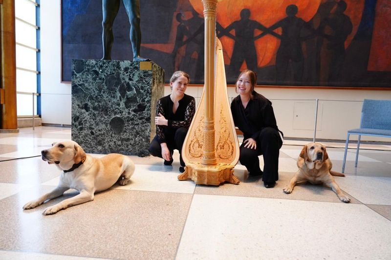 ALESSANDRA MATTANZA and ANALIA FARFAN BRING ART, DANCE and ANIMAL ADVOCACY to the UNITED NATIONS Image