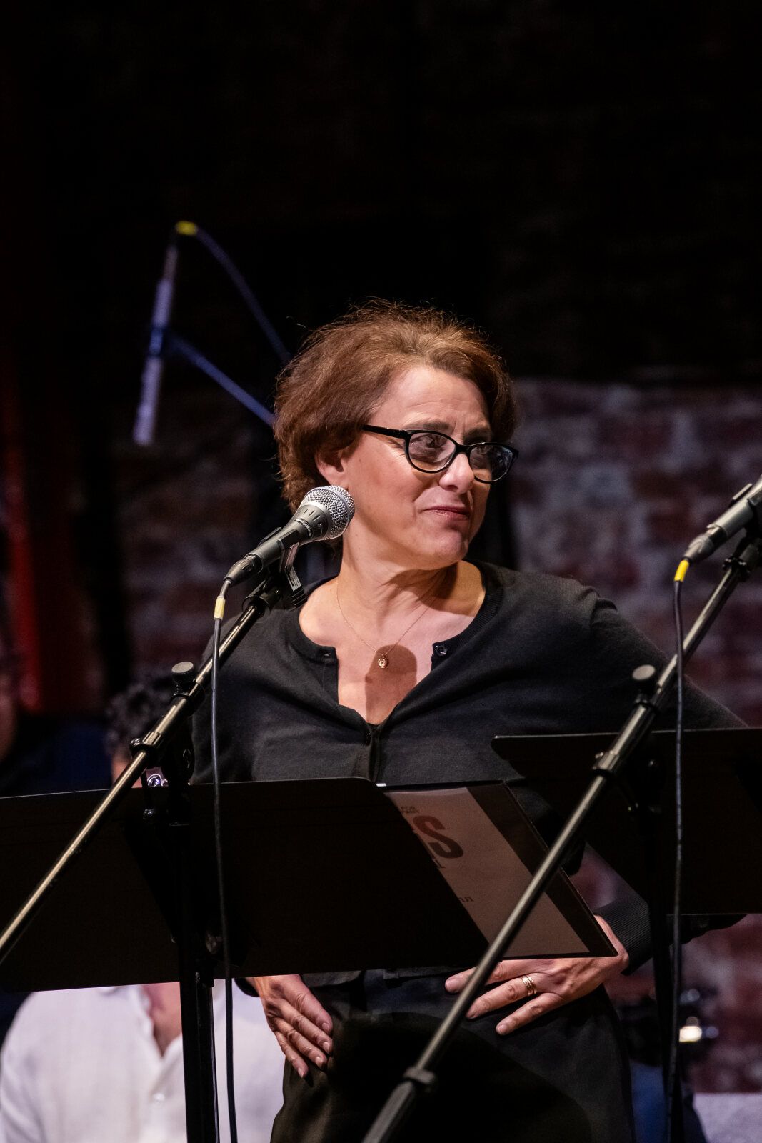 Photos: Julie Benko, Judy Kuhn And More in RAGS BENEFIT Concert — photo 1 of 19