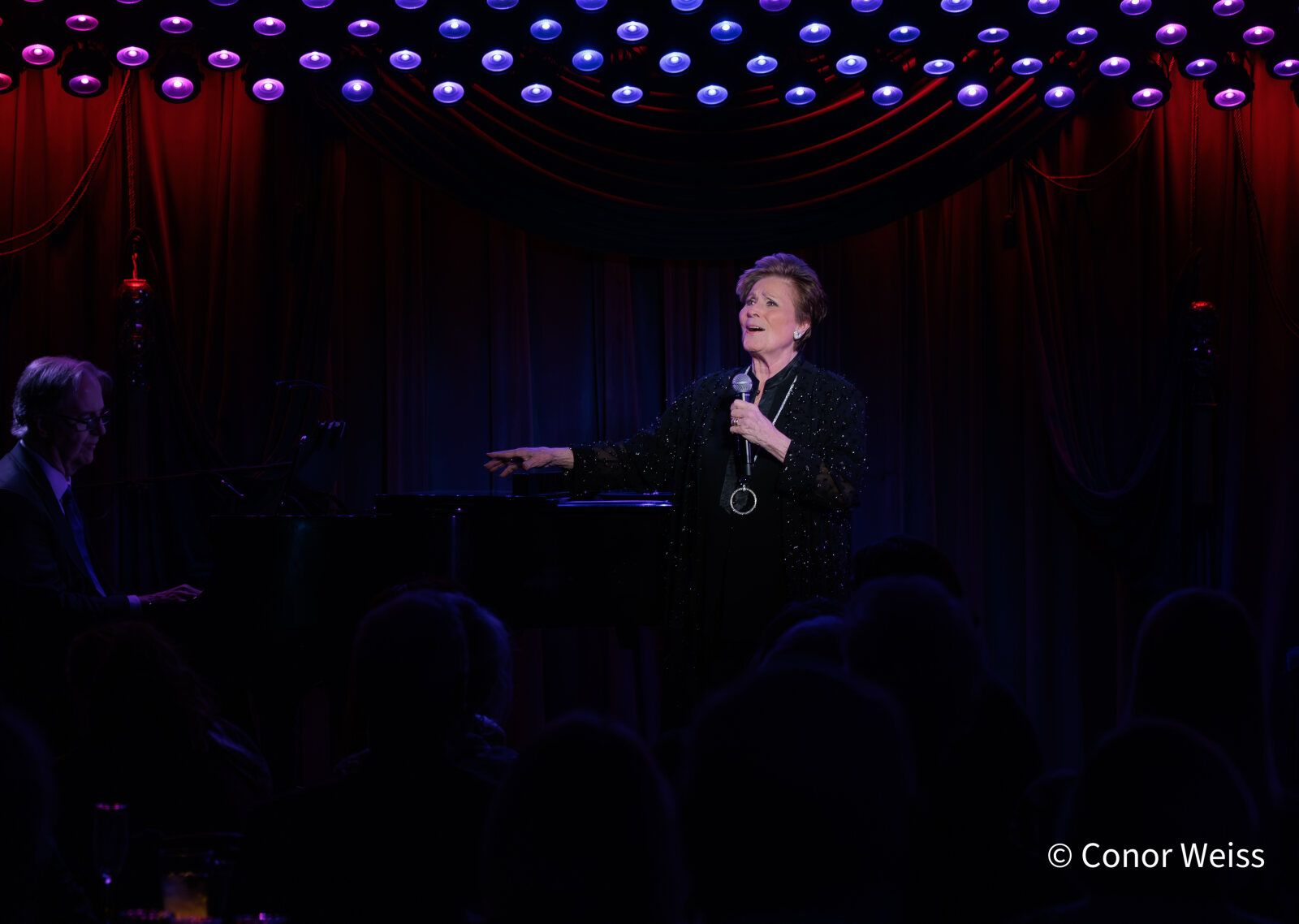 Photos: See Highlights from Lorna Dallas: THE CABARET FILES at the Beechman — photo 10 of 20
