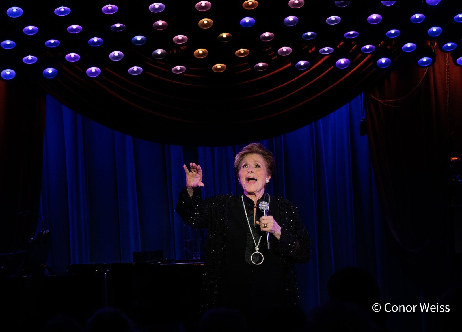 Photos: See Highlights from Lorna Dallas: THE CABARET FILES at the Beechman — photo 16 of 20