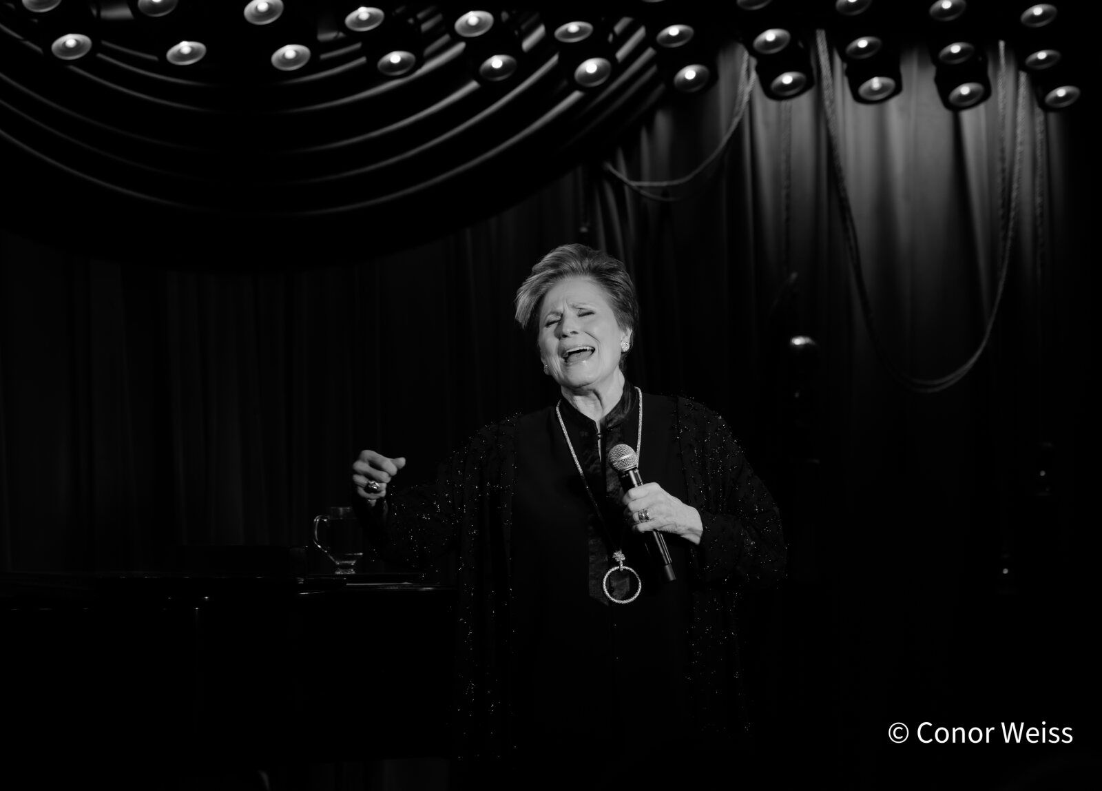 Photos: See Highlights from Lorna Dallas: THE CABARET FILES at the Beechman — photo 18 of 20