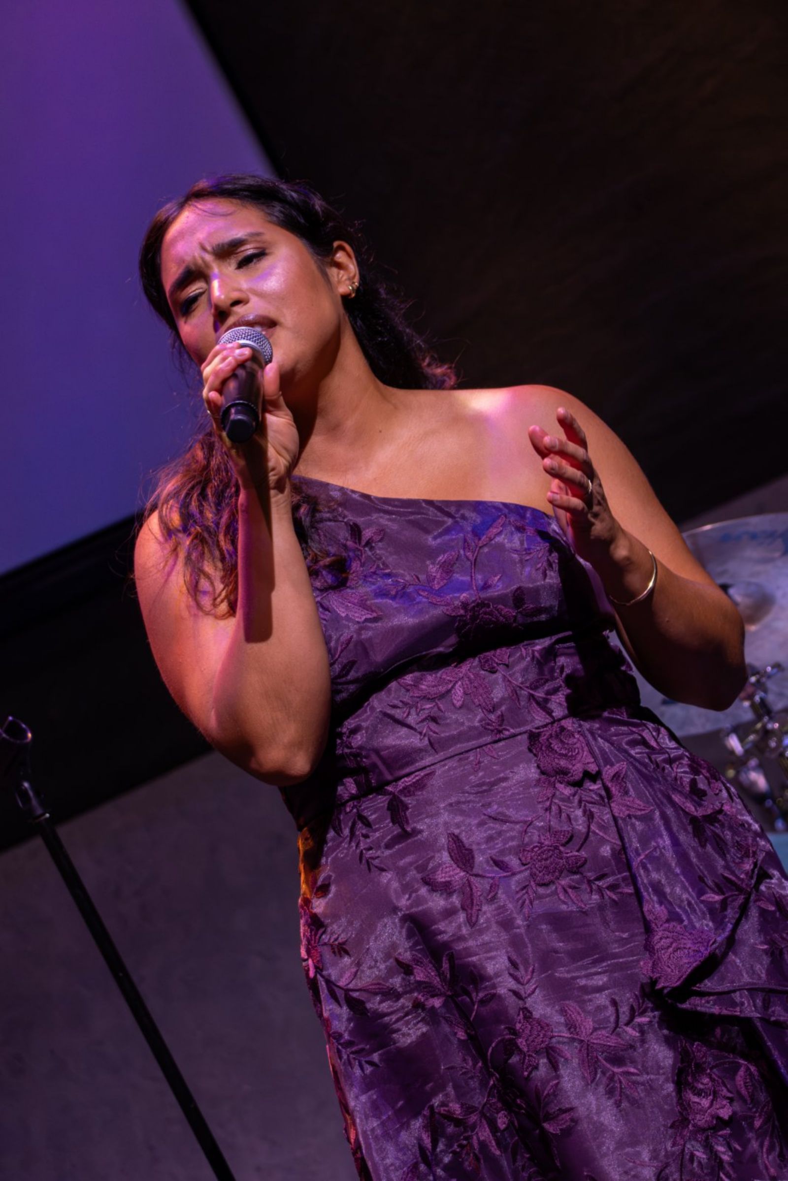 Photos: Robin de Jesús, Katerina McCrimmon and More In BILINGUAL BROADWAY EN VIVO at Lincoln Center — photo 2 of 21
