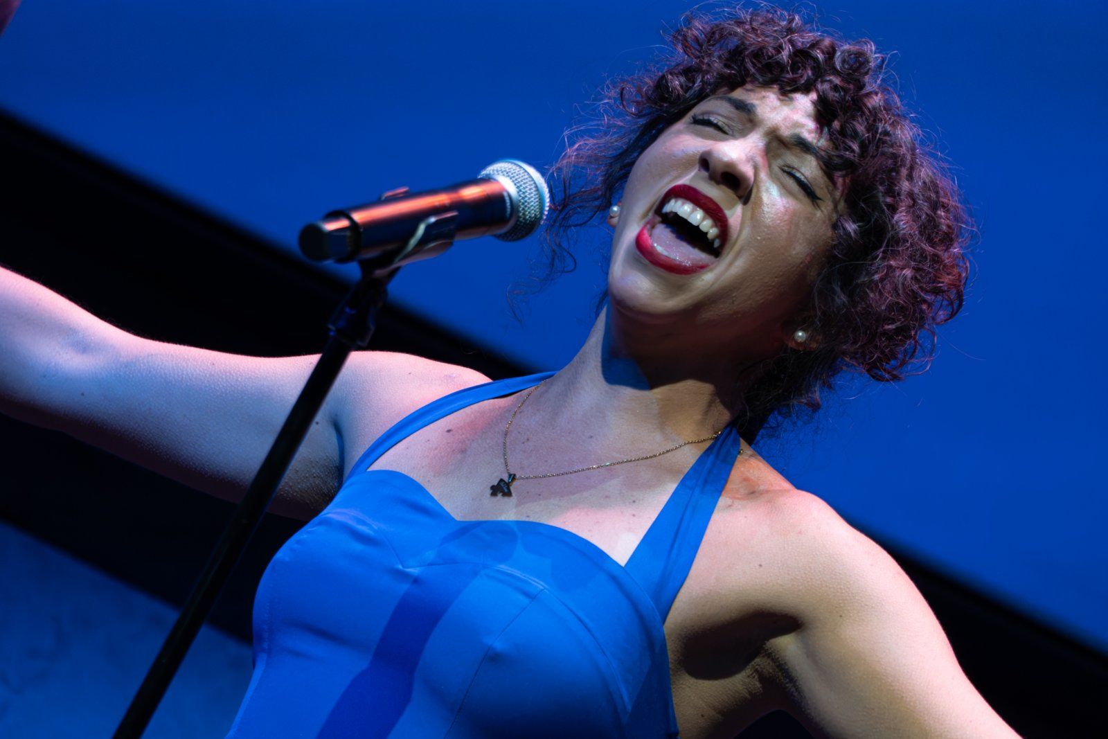 Photos: Robin de Jesús, Katerina McCrimmon and More In BILINGUAL BROADWAY EN VIVO at Lincoln Center — photo 17 of 21