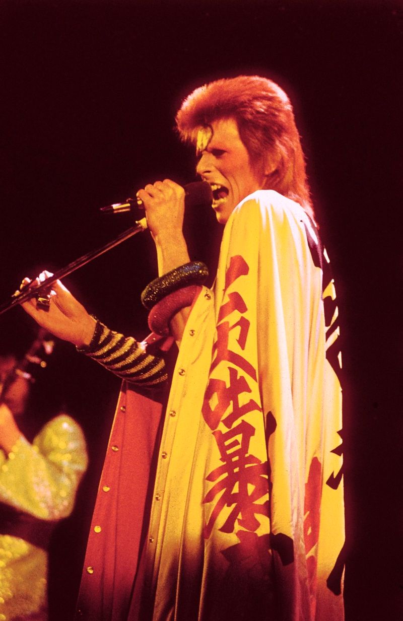 Photos: DAVID BOWIE: YOU'RE NOT ALONE to OPEN AT BRIGHTON DOME — photo 3 of 21