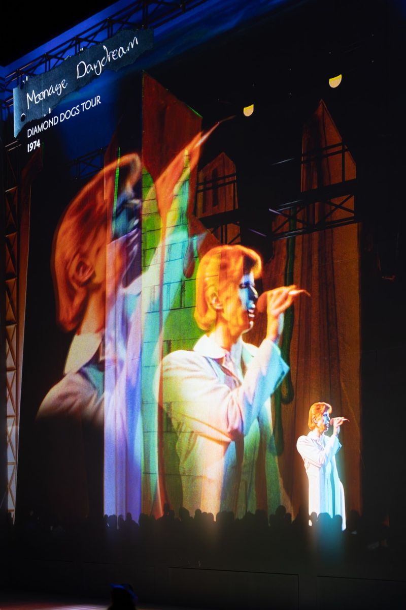 Photos: DAVID BOWIE: YOU'RE NOT ALONE to OPEN AT BRIGHTON DOME — photo 10 of 21
