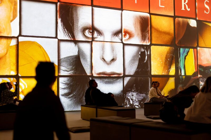 Photos: DAVID BOWIE: YOU'RE NOT ALONE to OPEN AT BRIGHTON DOME — photo 19 of 21
