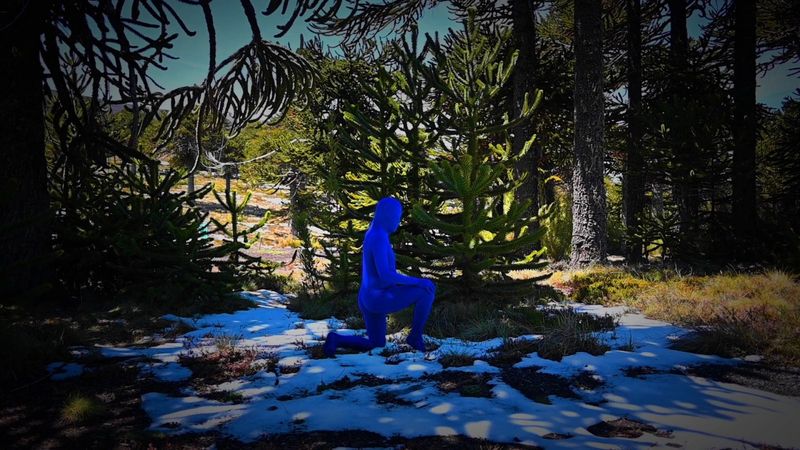 Photos: THE SKIN OF THE EARTH IS SEAMLESS Opens at ISCP — photo 1 of 10