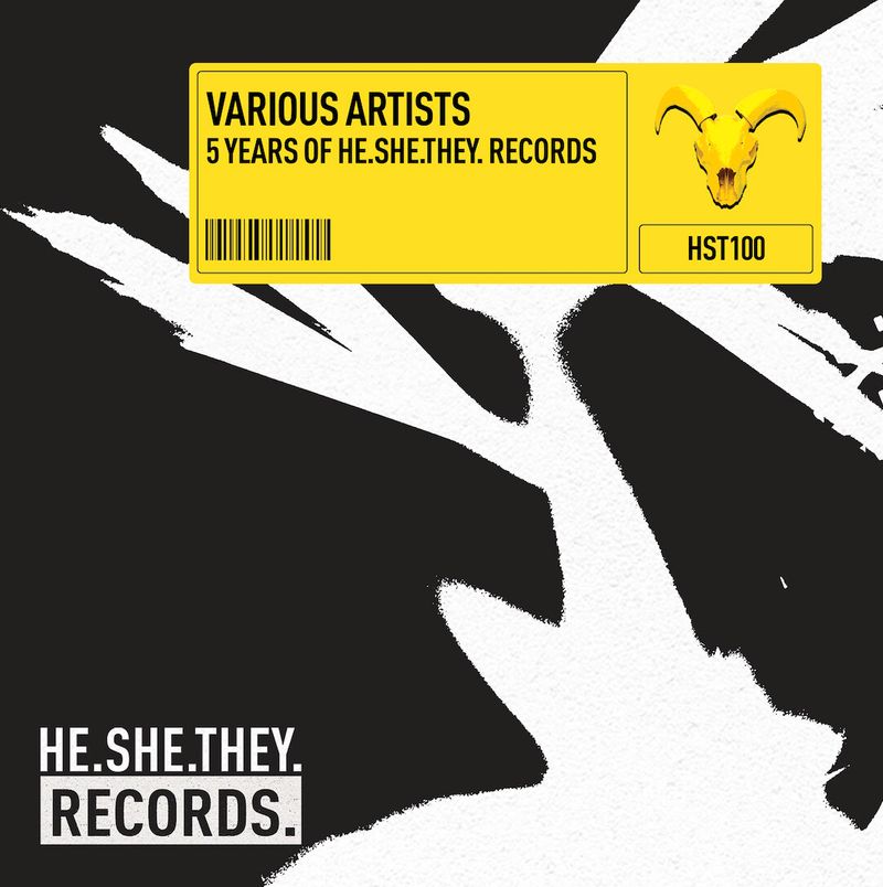 Photos: HE.SHE.THEY Releases 25-TRACK Debut Compilation 5 YEARS OF HE.SHE.THEY RECORDS — photo 2 of 18