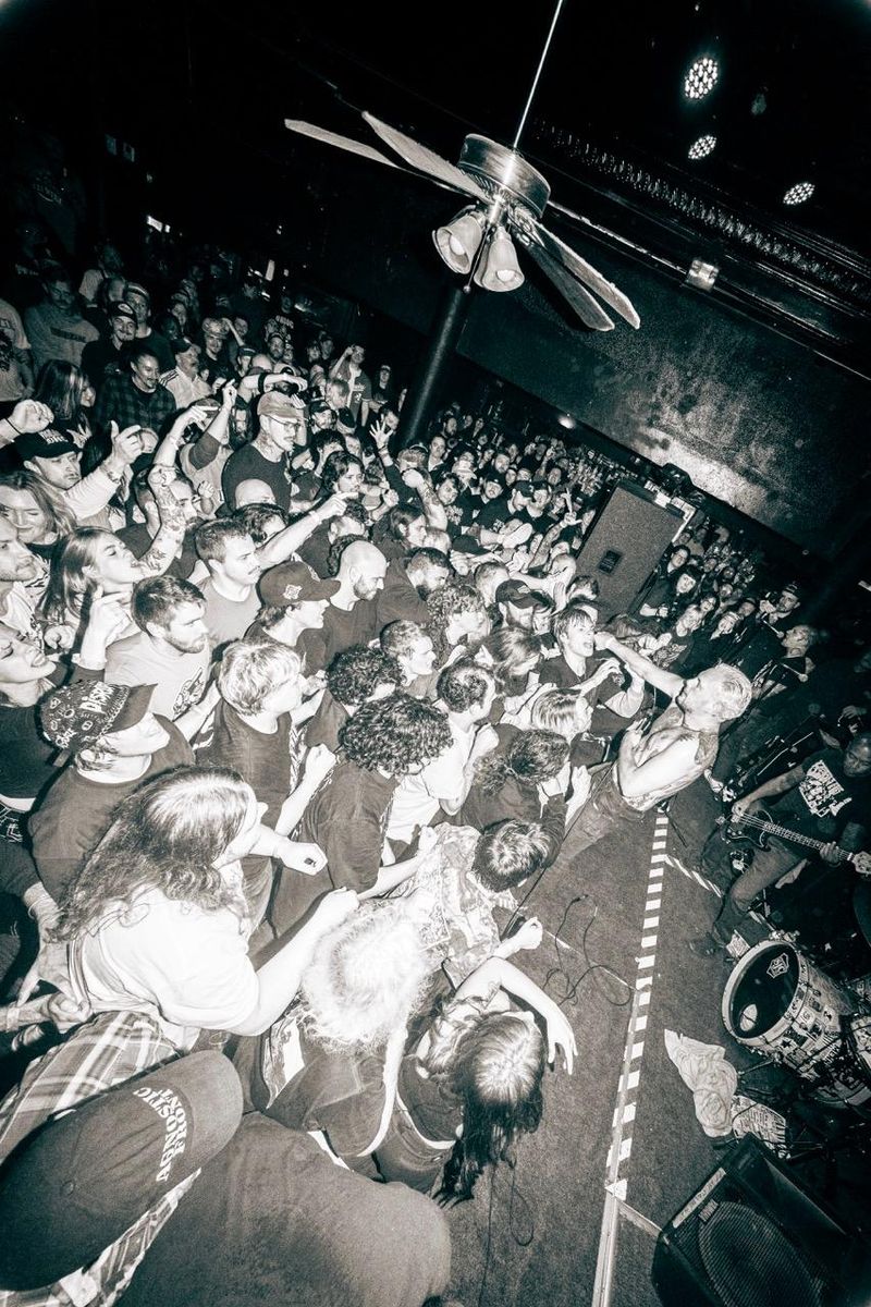 Photos: HAYWIRE Release New Album I DON'T WANNA SAY GOODBYE — photo 1 of 4