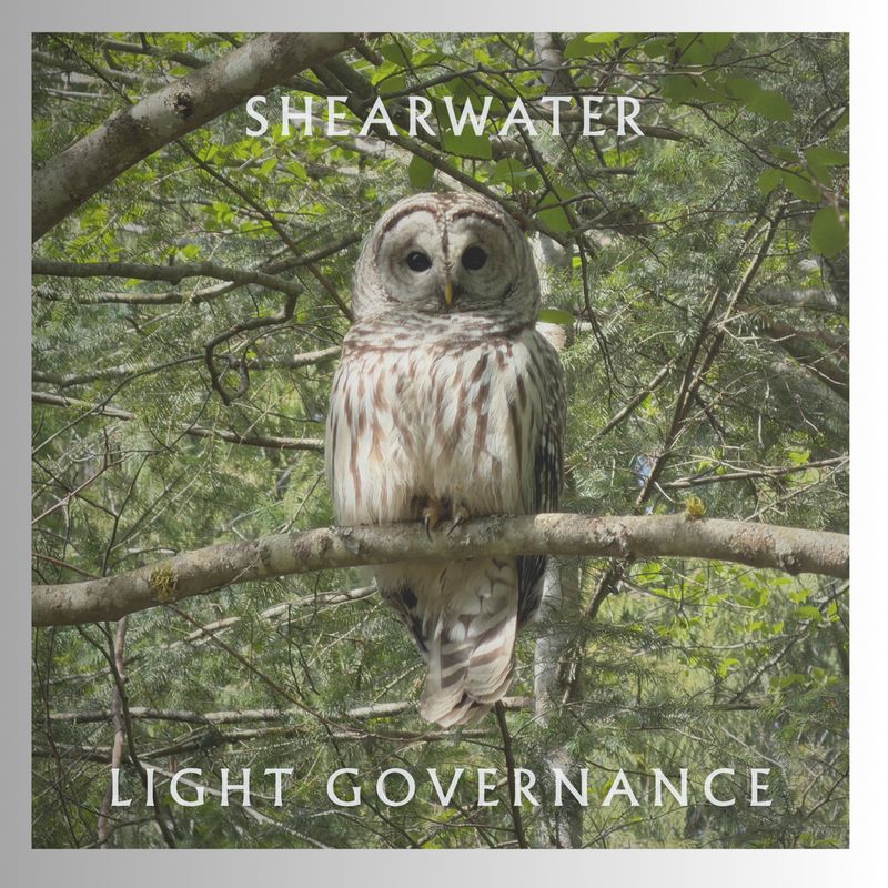Photos: SHEARWATER Releases New Single LIGHT GOVERNANCE on Bandcamp — photo 2 of 4