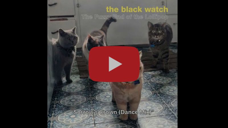 Photos: THE BLACK WATCH Releases Dance Remix of 'Sorrow's Crown' on 27th Album — photo 3 of 4