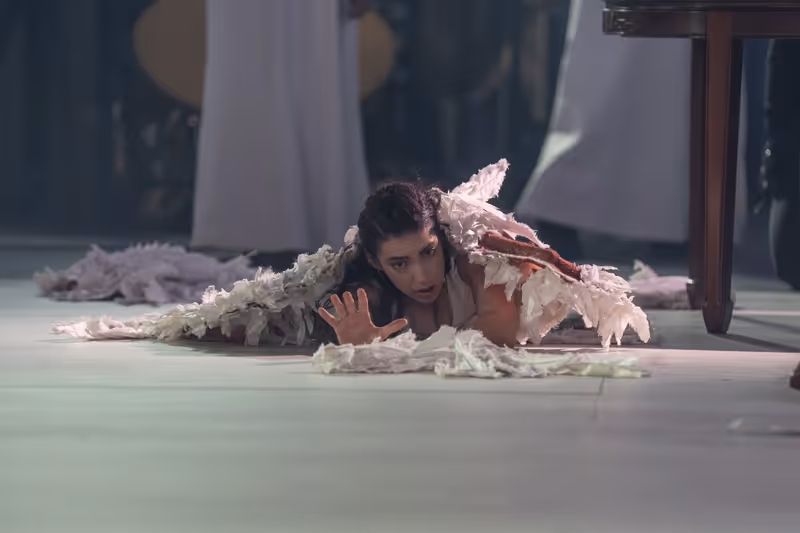 Guest Post: 'I Didn't Come From Opera, I Came From Everywhere Else': Artist Mariam Wallentin On Collaborative Storytelling In ENO's ANGEL'S BONE Image