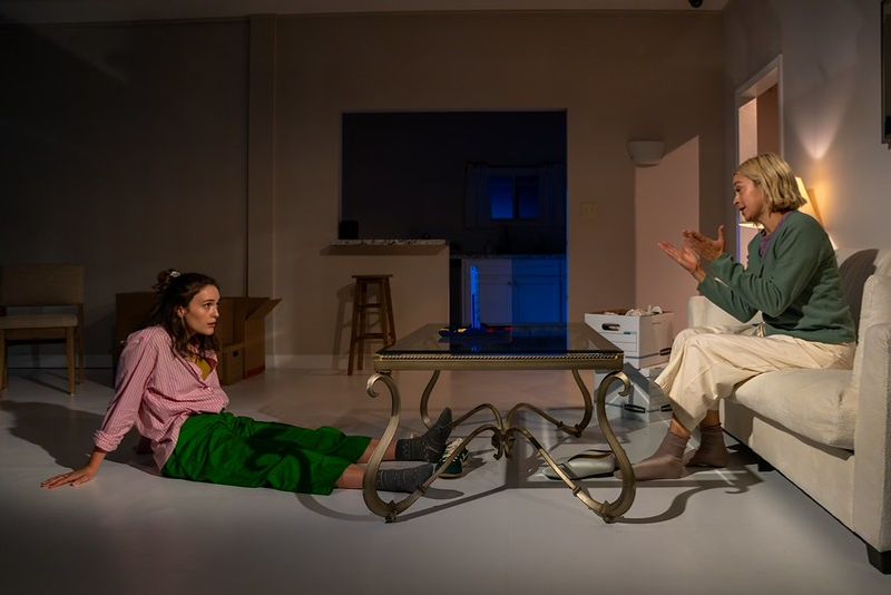 Review: THE URMETAZOAN at Barrington Stage Company Image