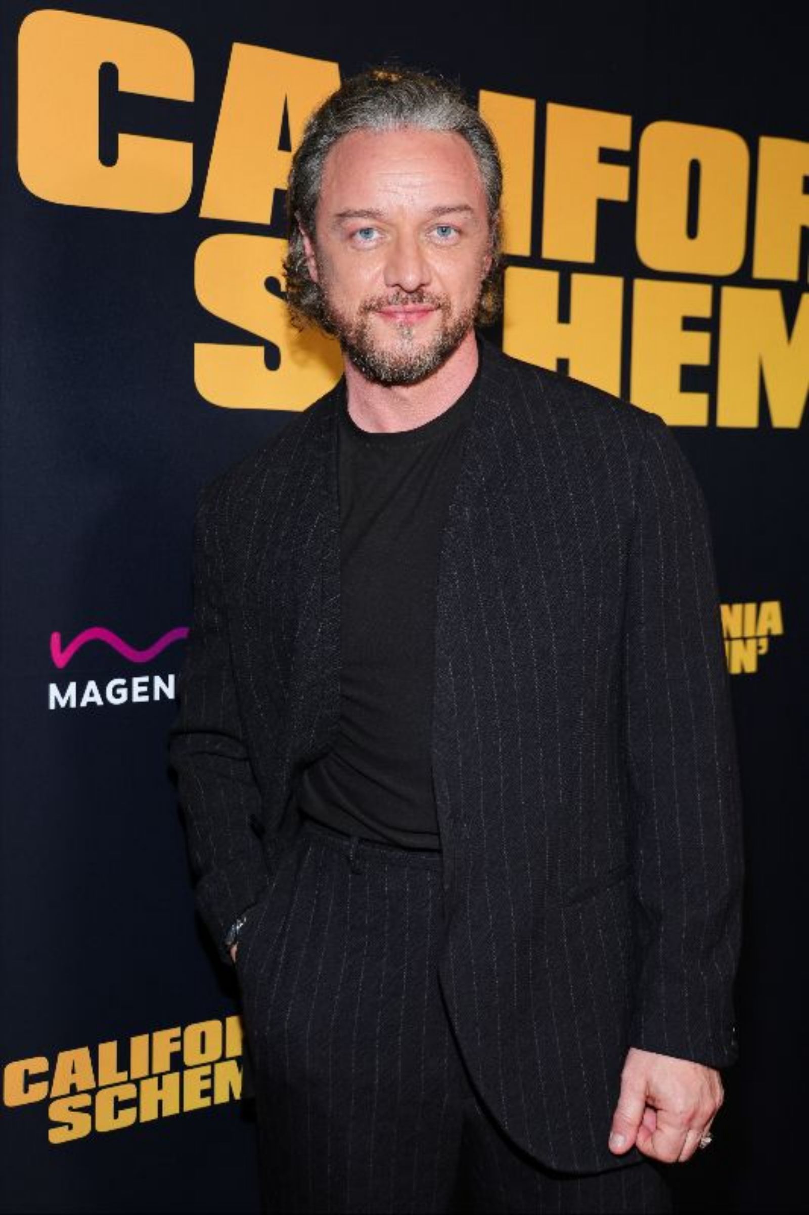 Photos: CALIFORNIA SCHEMIN' Los Angeles Screening Draws McAvoy, Zhu — photo 3 of 29