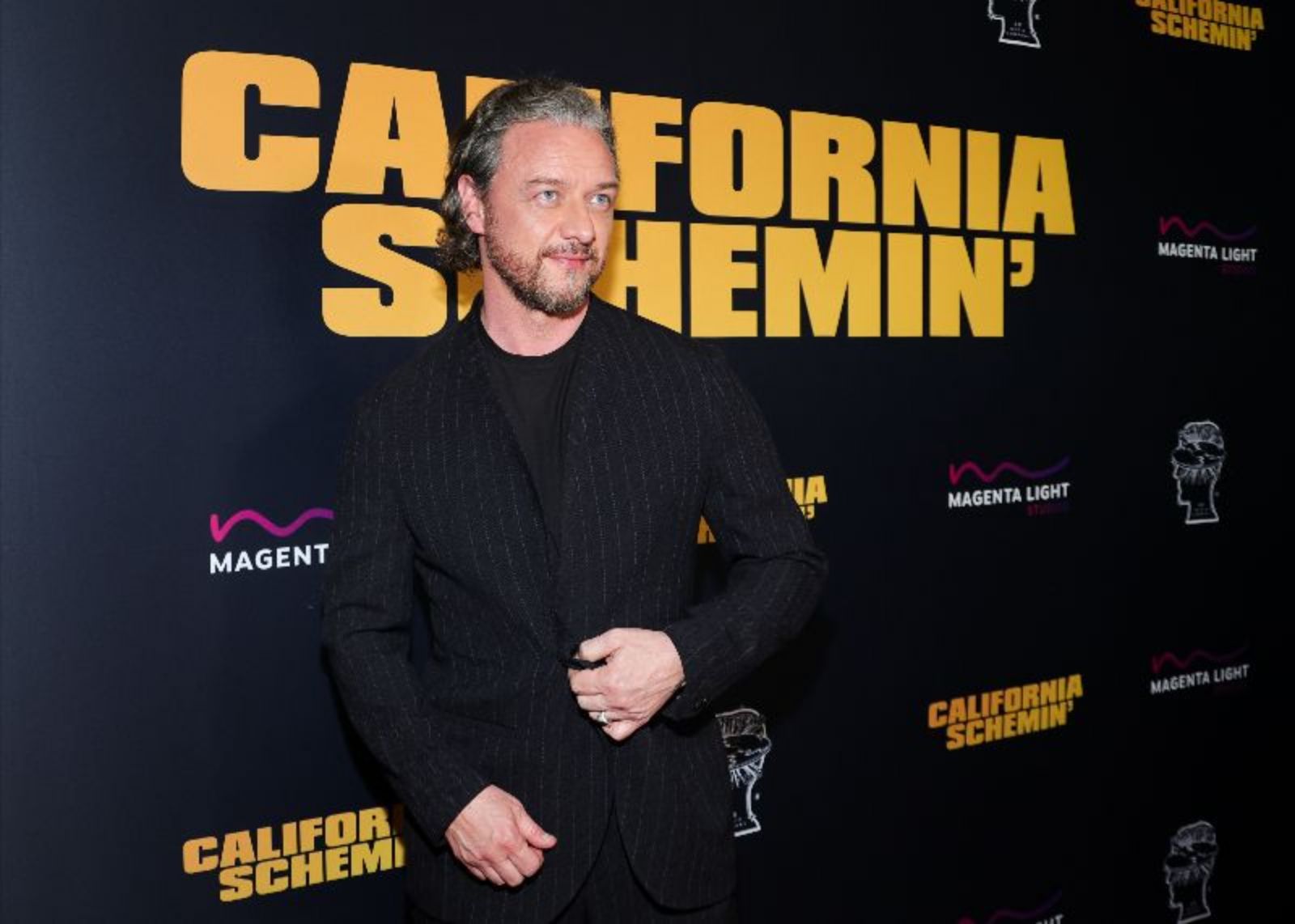 Photos: CALIFORNIA SCHEMIN' Los Angeles Screening Draws McAvoy, Zhu — photo 5 of 29