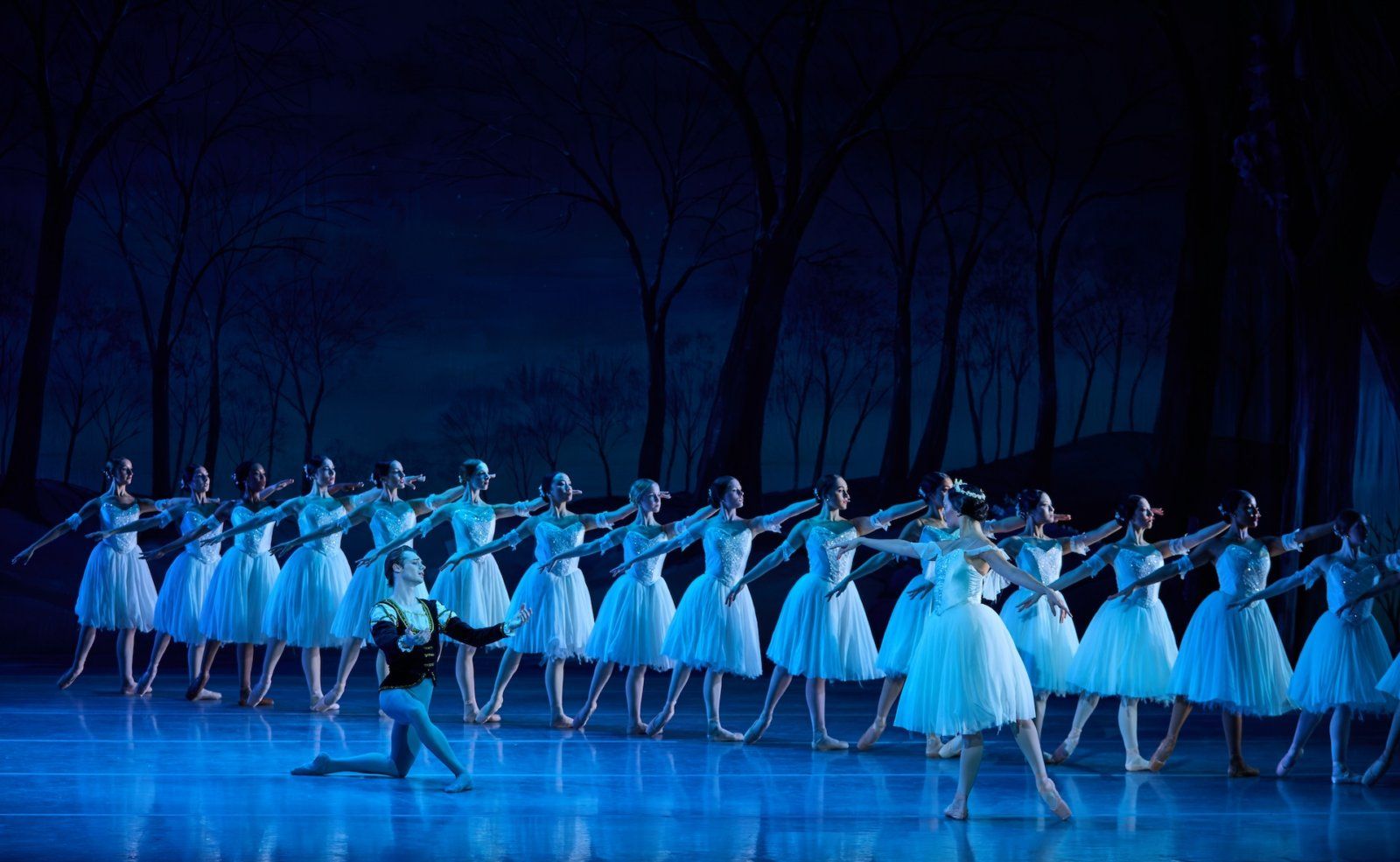 Photos: Nashville Ballet's GISELLE Reimagined by Nick Mullikin — photo 1 of 4