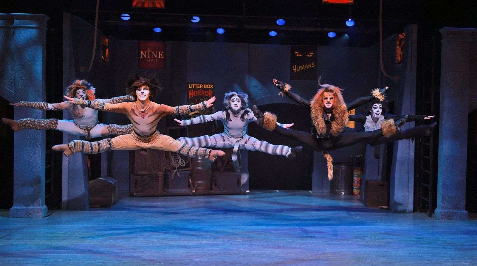 Photos: CATS Opens at Beef & Boards Dinner Theatre — photo 4 of 4