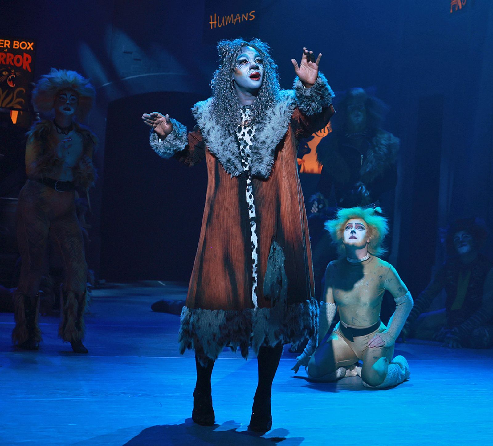 Photos: CATS Opens at Beef & Boards Dinner Theatre — photo 2 of 4
