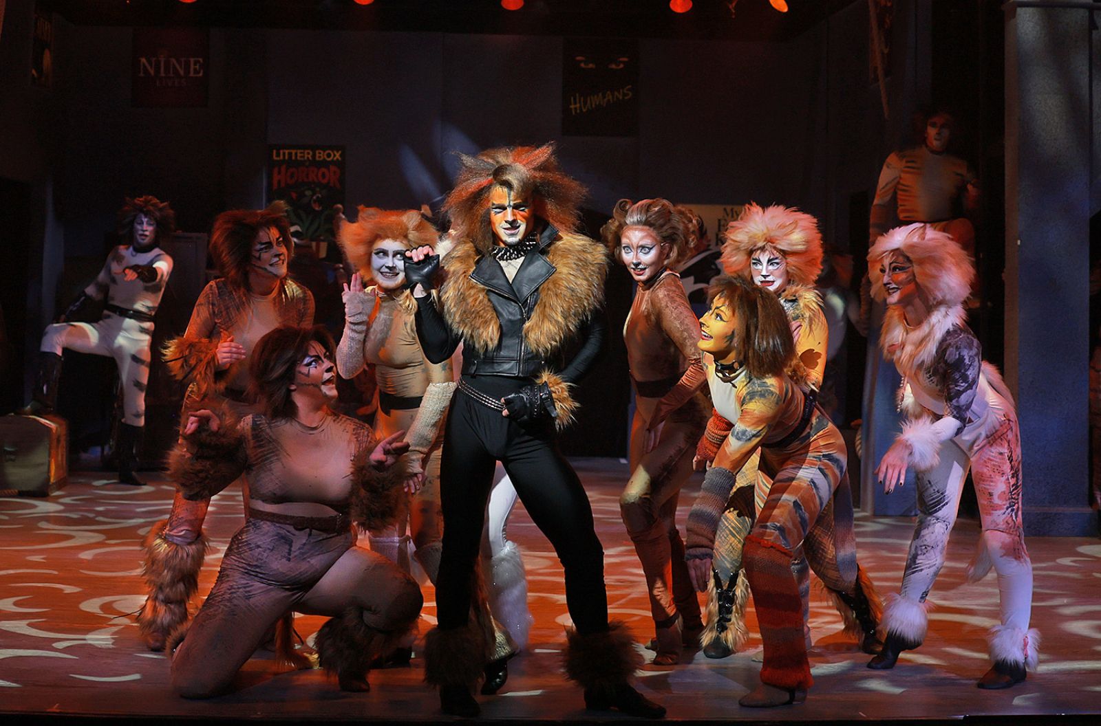 Photos: CATS Opens at Beef & Boards Dinner Theatre — photo 3 of 4