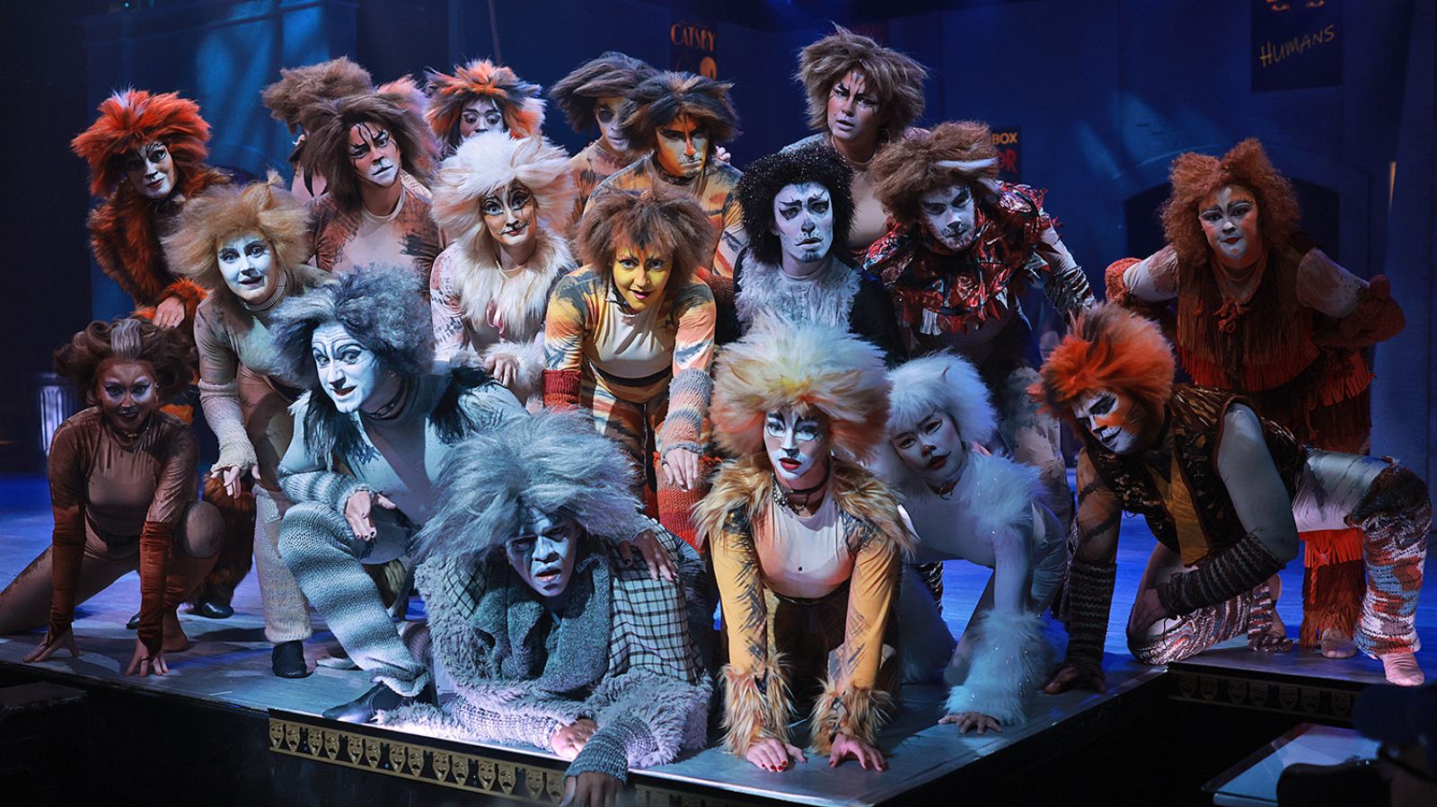 Photos: CATS Opens at Beef & Boards Dinner Theatre — photo 1 of 4