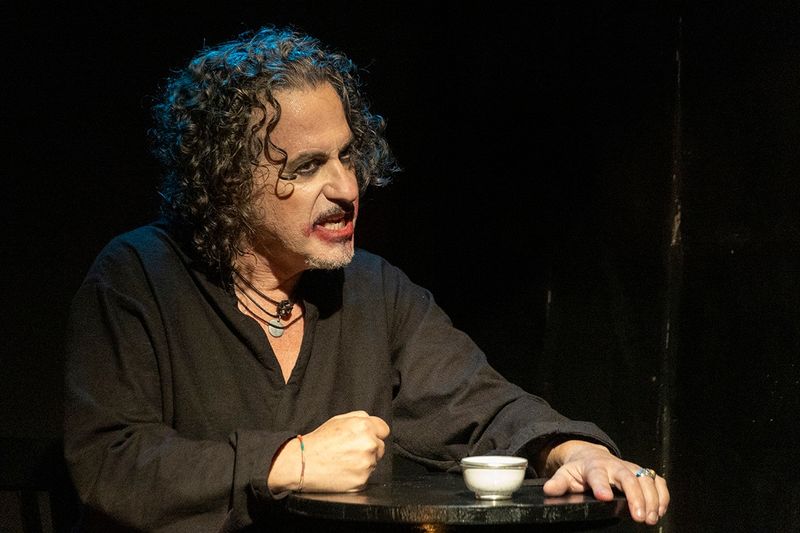 Review: SENZA FINE - QUANDO I POETI CANTANO - DA KURT WEILL A MIA MARTINI al TEATROSOPHIA Image