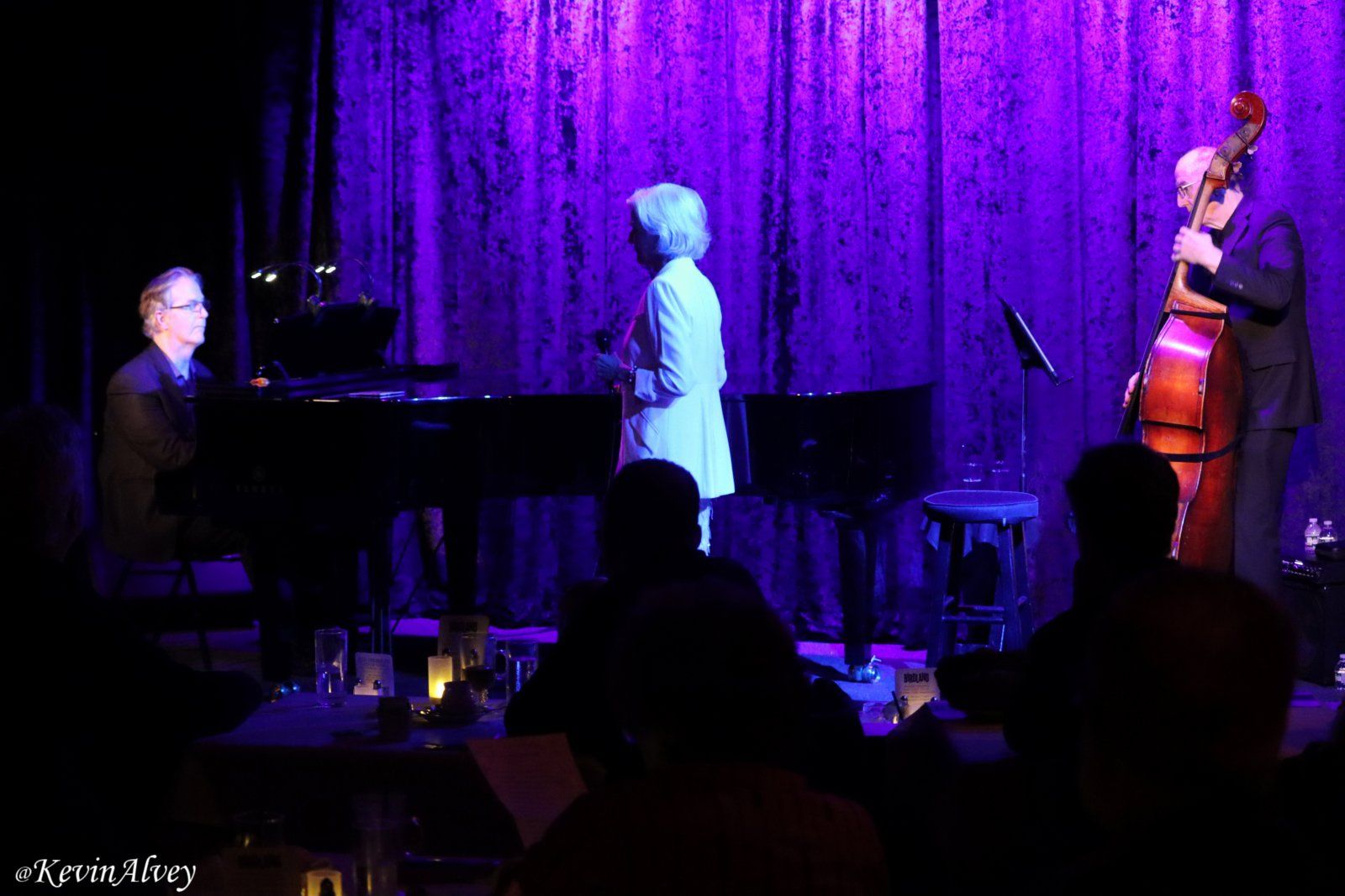 Photos: Karen Mason Celebrates CD Release At Birdland — photo 9 of 22