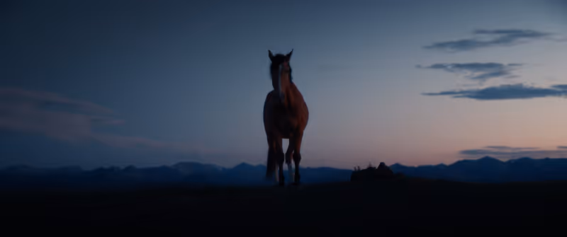 Photos: Round Top Film Festival Announces 2026 Lineup With HEARTLAND, FAMILY MOVIE — photo 2 of 16