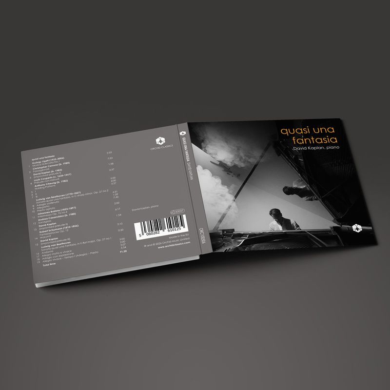 Photos: Pianist David Kaplan to Release QUASI UNA FANTASIA Album — photo 2 of 7