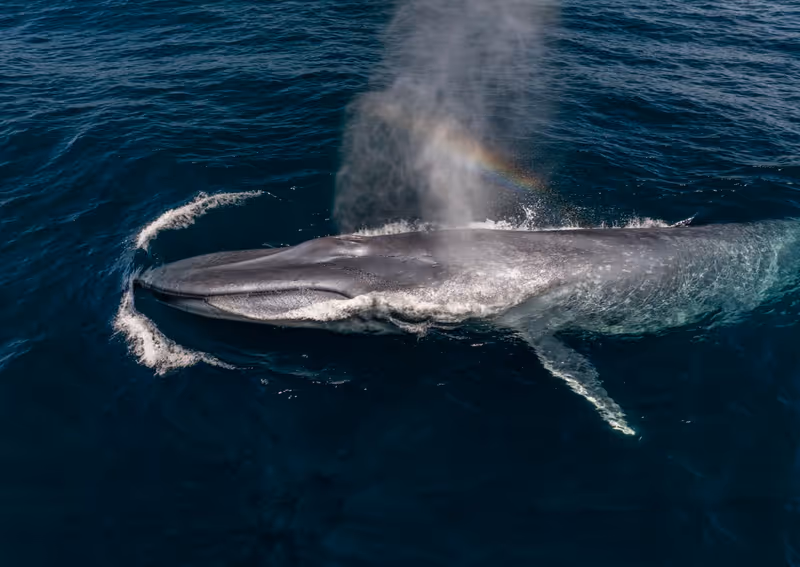 Photos: EXPEDITION: SAVING OUR SEAS to Premiere on National Geographic — photo 11 of 31