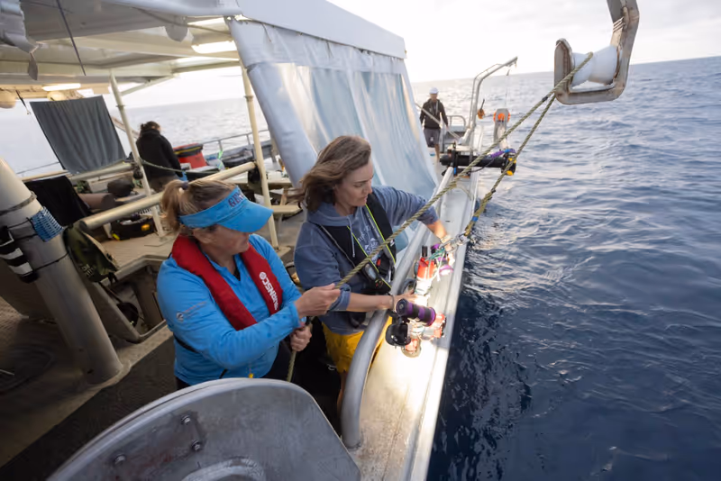 Photos: EXPEDITION: SAVING OUR SEAS to Premiere on National Geographic — photo 15 of 31
